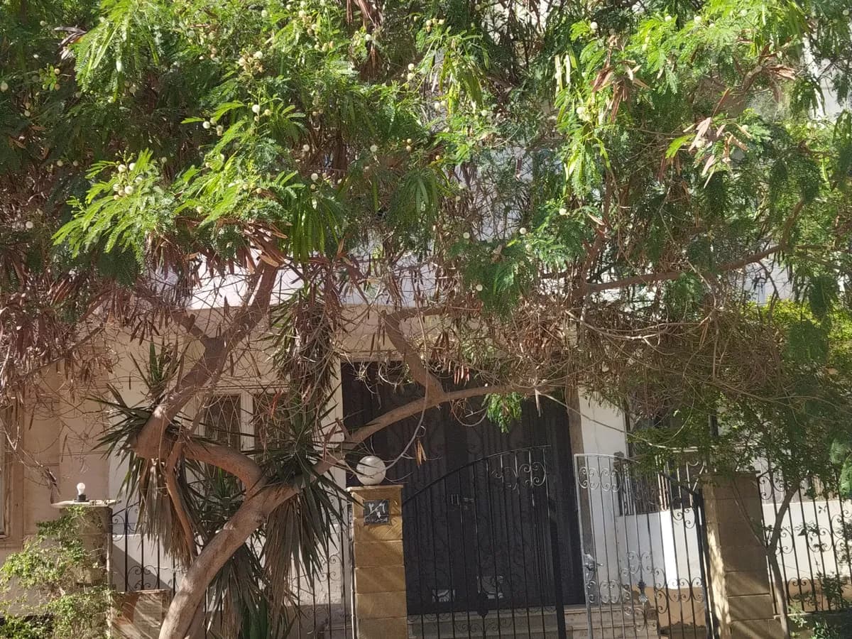 فيلا فاخره